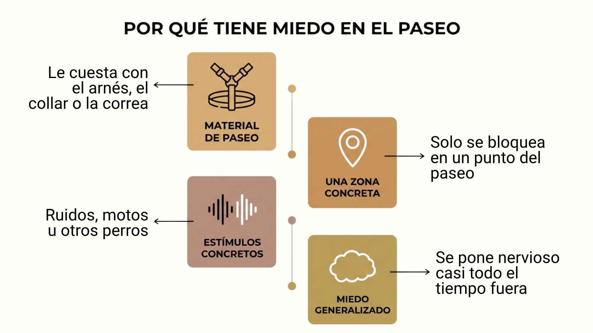 esquema de posibles causas de miedo o dificultad durante el paseo